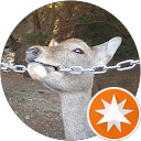 Lee Soon G. profile picture